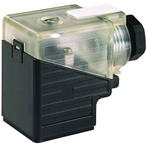 Murr Elektronik Murrelektronik 7000-29561-0000000 Solenoid Connector Black Transparent Murr Elektronik Murrelektronik 7000-29561-0000000 Solenoid Connector Black Transparent