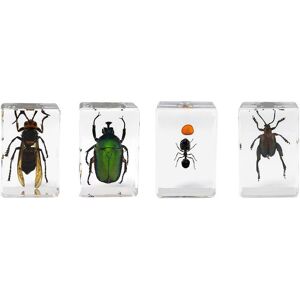 Celestron 3D Bug Specimen Kit  No. 5