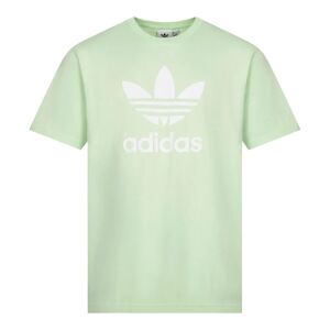 Adidas Trefoil T-Shirt - Green  - Green - male - Size: Large