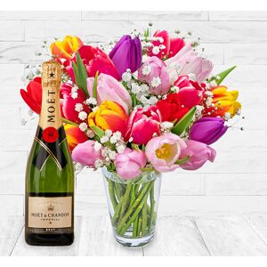 123 Flowers Tulip Delights & Moet 75