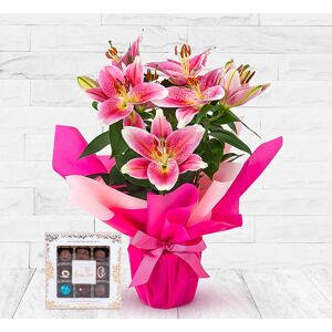 123 Flowers Lucious Lily Gift