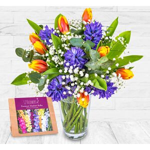 123 Flowers Hyacinths and Tulips & Gladioli Bulbs