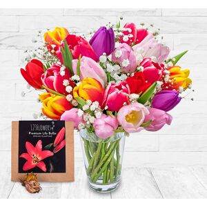 123 Flowers Tulip Delights & Lily Bulbs