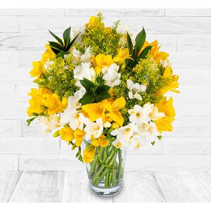 123 Flowers Fabulous Freesia