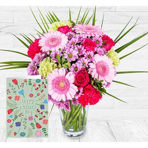 123 Flowers Blushing Elegance & Card