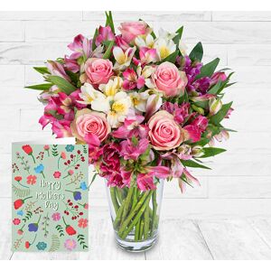 123 Flowers Peruvian Lily & Rose & Card