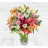 123 Flowers Alstroemeria Bouquet - Cheap Flowers - Cheap Bouquets - Cheap Flower Delivery - Flowers by Post