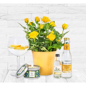 123 Flowers Roses and Gin - Gin Gifts - Gin Gift Delivery - Gifts with Gin - Gin Gift Sets - Gin Gift Baskets - Gin Hampers
