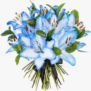 Haute Florist Lagoon Lilies - Luxury Flowers - Luxury Flower Delivery - Blue Lilies - Flowers By Post