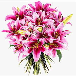 Haute Florist Pink Lilies - Free Chocs - Flower Delivery - Next Day Flower Delivery - Next Day Flowers - Send Flowers - Flowers By Post