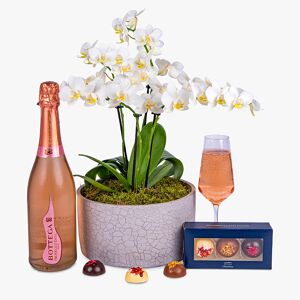 Haute Florist Rosé Orchid Gift