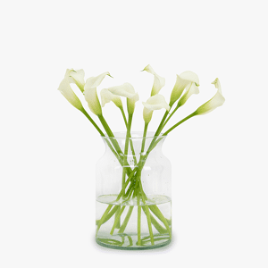 Haute Florist Vanilla Calla Lilies