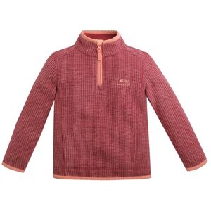 Weird Fish Archie Unisex Kids Eco 1/4 Zip Grid Fleece Rich Red Size 3-4 - Unisex