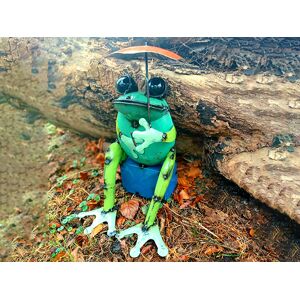 Sitting Frog With Umbrella