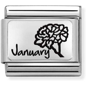 Nomination January Birth Flower Charm Nomination January Birth Flower Charm