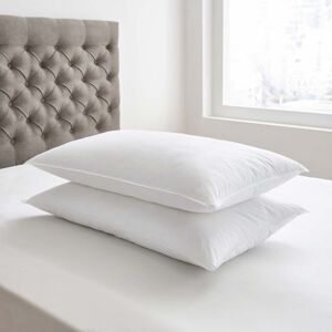 Bedeck Of Belfast Microfibre Pillows (2 Pack) Bedeck Of Belfast Microfibre Pillows (2 Pack)
