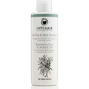 Odylique Tea Tree & Herb Shampoo - Shampoo Odylique Tea Tree & Herb Shampoo - Shampoo
