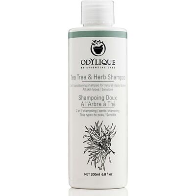 Odylique Tea Tree & Herb Shampoo - Shampoo Odylique Tea Tree & Herb Shampoo - Shampoo