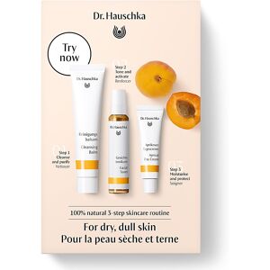 Dr Hauschka Dr. Hauschka Apricot Skincare Kit - Dry & Dull Skin Dr Hauschka Dr. Hauschka Apricot Skincare Kit - Dry & Dull Skin