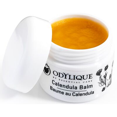 Odylique by Essential Care Organic Calendula Balm 20g Odylique by Essential Care Organic Calendula Balm 20g