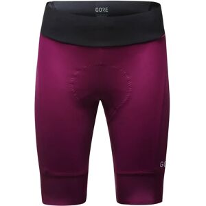 GORE WEAR Ardent Women's Cycling Shorts Women's Cycling Shorts, size 38, Cycling knickers, Cycling gear