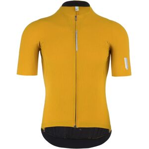 Q36.5 Pinstripe Pro Short Sleeve Jersey, for men, size M, Cycling jersey, Cycling clothing