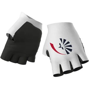 Alé GROUPAMA - FDJ 2024 Cycling Gloves, for men, size L, Cycling gloves, Bike gear