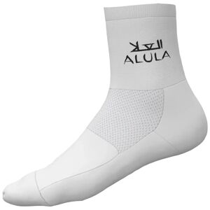 Alé TEAM JAYCO-ALULA 2023 Cycling Socks, for men, size M