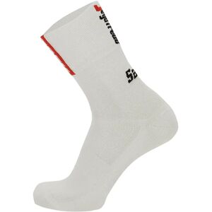 Santini TREK SEGAFREDO 2023 Cycling Socks Cycling Socks, for men, size XS-S