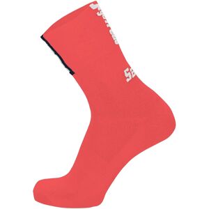Santini TREK SEGAFREDO Training 2023 Cycling Socks Cycling Socks, for men, size XL, MTB socks, Cycling clothes