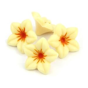 Make, Bake & Decorate White chocolate flowers - Bulk case of 76