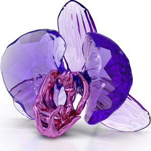 Swarovski Crystal Swarovski Idyllia SCS Orchid Petal