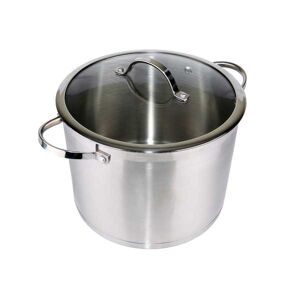 Denby D200 Stainless Steel 18/10 Stockpot (W/Lid) D26Cm