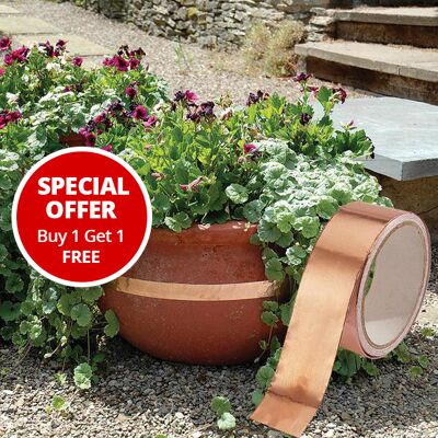 Easylife Slug Repelling Copper Tape Roll +1 Fre in Red/Brown, Size 4.5m Easylife Slug Repelling Copper Tape Roll +1 Fre in Red/Brown, Size 4.5m
