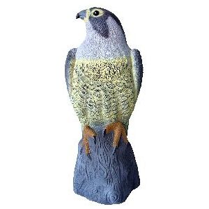 Redwood Falcon Bird Deterrent Redwood Falcon Bird Deterrent