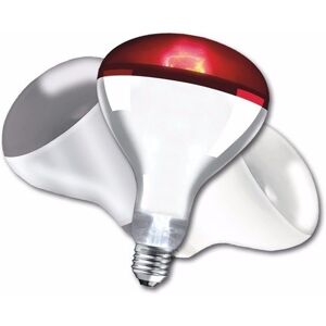 Crompton Infra Red Extended Life Lamp - Diffused