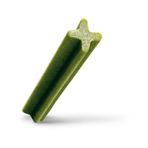Pedigree Dentastix Fresh Daily Dental Chews Large Dog 21 Sticks