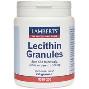 Lamberts Soya Lecithin Granules 250g - Supplements Lamberts Soya Lecithin Granules 250g - Supplements