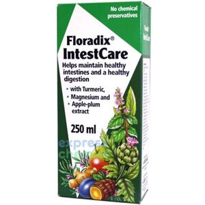 Floradix IntestCare 250ml