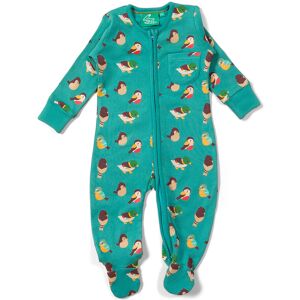 Little Green Radicals Garden Birds Organic Zip Babygrow