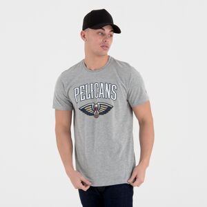 newera New Orleans Pelicans Team Logo Grey T-Shirt - Grey - Size: XXS - male