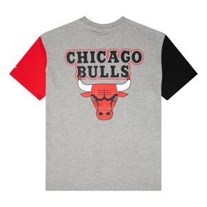 newera Chicago Bulls NBA Paris Grey T-Shirt - Grey - Size: L - male