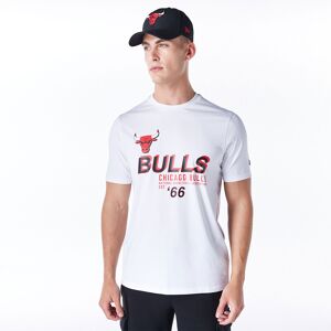 newera Chicago Bulls NBA Graphic White T-Shirt - White - Size: S - male
