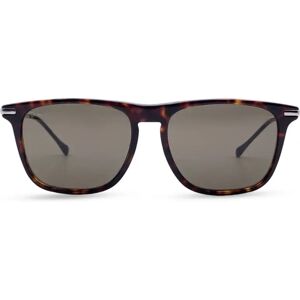 Gucci Brown Acetate Gg0915S Horsebit Sunglasses 55/17 145Mm