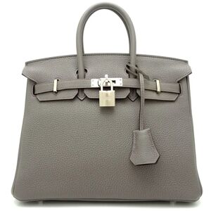 Hermes Birkin 25 handbag Togo Ethane x Silver hardware 151623