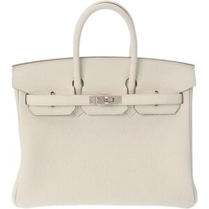 Hermes Birkin 25 Mushroom Palladium Hardware B Engraved [around 2023] Women's Togo Handbag