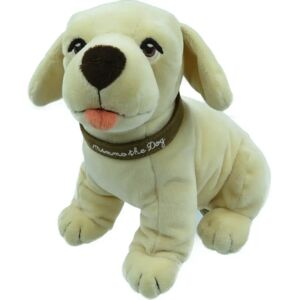 Dolce&Gabbana the Dog Plush Beige Polyester 0043DOLCE GABBANA