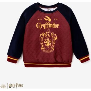 PatPat Harry Potter matching Color Block Large Pattern Long-sleeve Crew Neck Sweatshirt  - Brick red