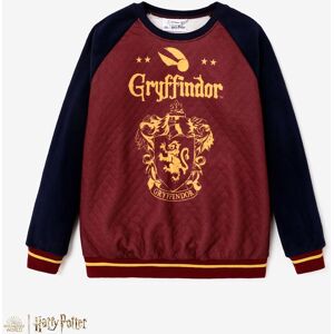 PatPat Harry Potter matching Color Block Large Pattern Long-sleeve Crew Neck Sweatshirt  - Brick red