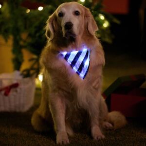 PatPat Go-Glow Light Up Pet Bandana with Color-block Stripes for Small Medium Pets Including Controller (Built-In Battery)  - BlackandWhite